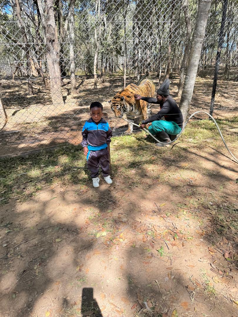 Harmony Junior School